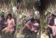 College Village Girl Fucking Outdoor –  Indian Sex Video