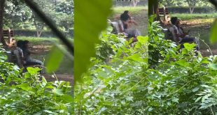 Delhi Teen Couple In Park Viral Xx Video – Park Viral Xxx Video